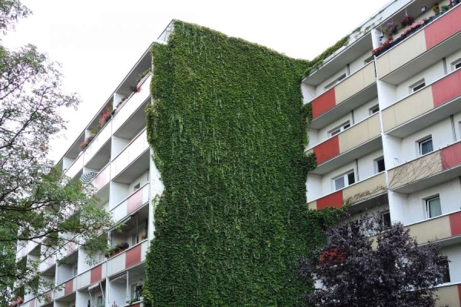 FOTO: BuGG/ Herfort