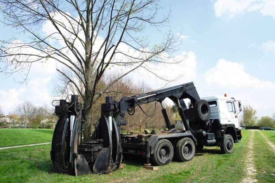 Aufwändige Umpflanzaktion: Dieser Baum steht zukünftig in einem Neubaugebiet. FOTO: Wohnungsbau Ludwigsburg GmbH