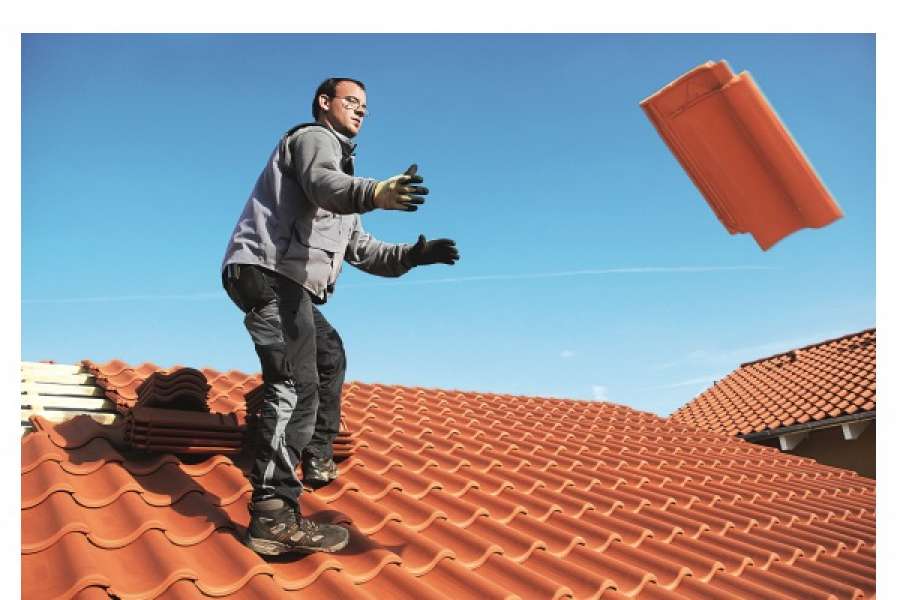 FOTO: FOTOLIA/I.BARTUSSEK