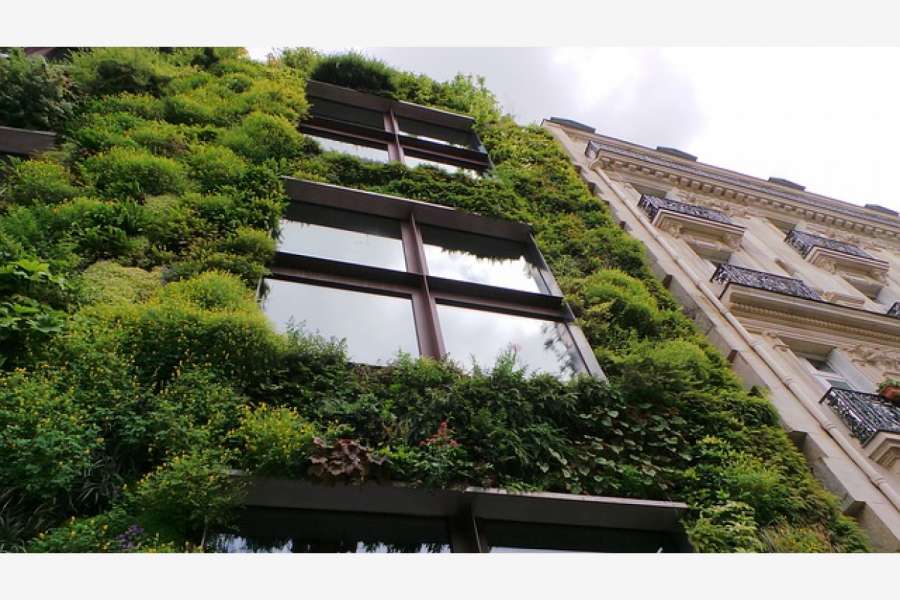 Urbanes Grün ist ein prägendes Element unserer Städte und übernimmt vielfältige soziale, gesundheitliche, wirtschaftliche, ökologische und klimatische Funktionen. FOTO: PIXABAY/lemonadesoflife