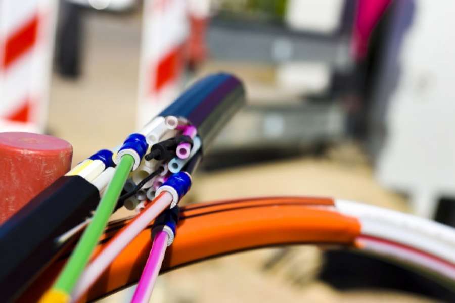 Foto: Adobestock/Gerhard Seybert