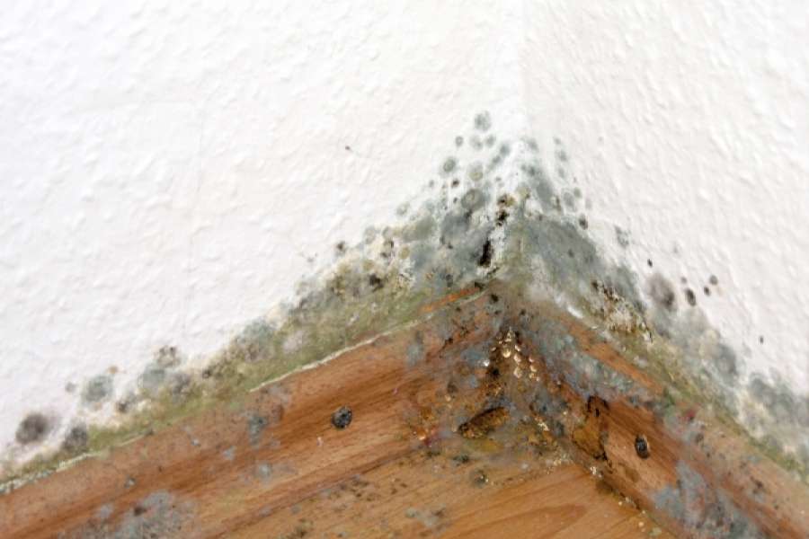 Welche Anstrengung muss der Mieter übernehmen, um Schimmel in der Wohnung vorzubeugen? FOTO: PIXELIO/TH.WENGERT