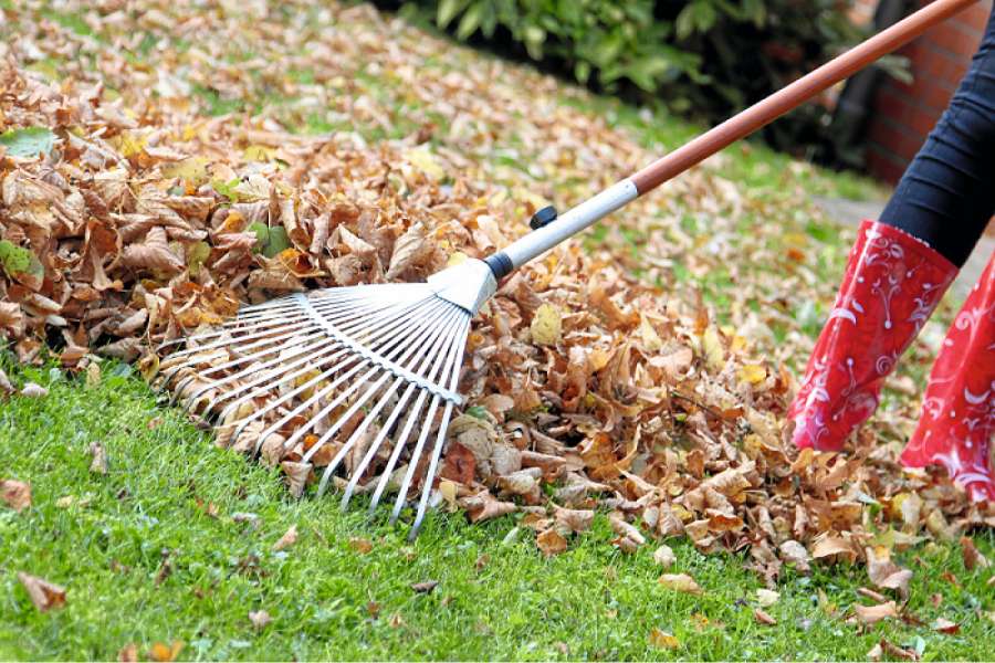 Herbstlaub macht viel Arbeit. Foto: Fotolia/Kathrin 39