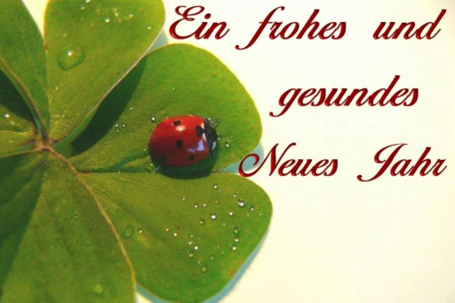 FOTO: PIXELIO/ K.F. DOMNIK