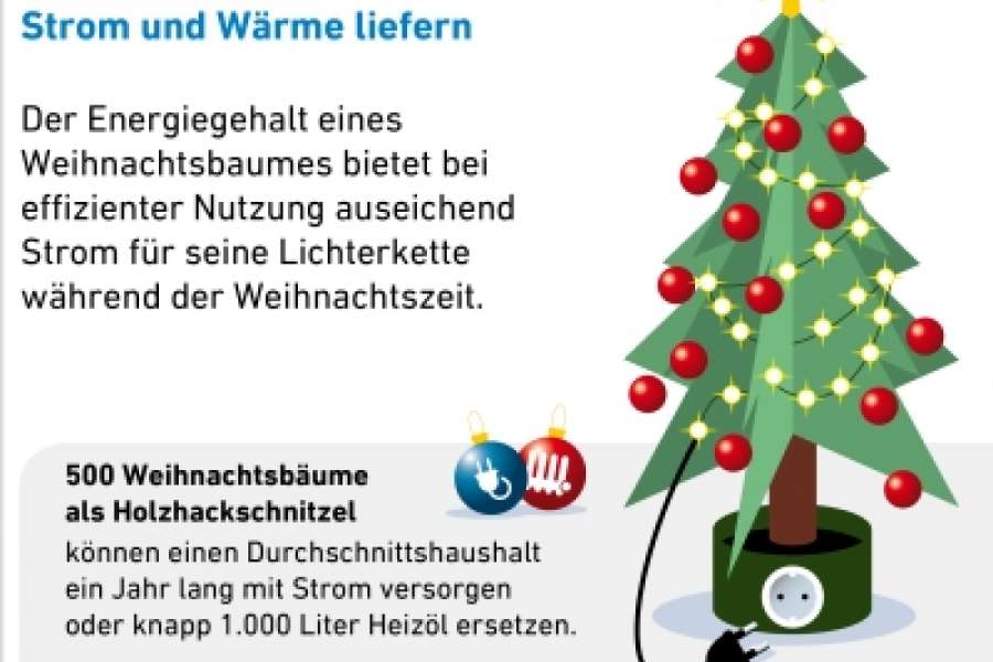 Ausgediente Weihnachtsbäume können als Stromlieferanten dienen.