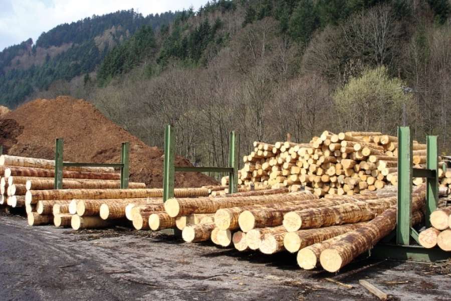 FOTO: INITIATIVE HOLZ UND PELLETS