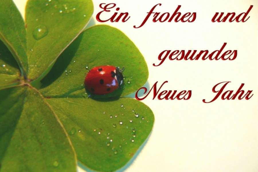 FOTO: PIXELIO/ K.F. DOMNIK